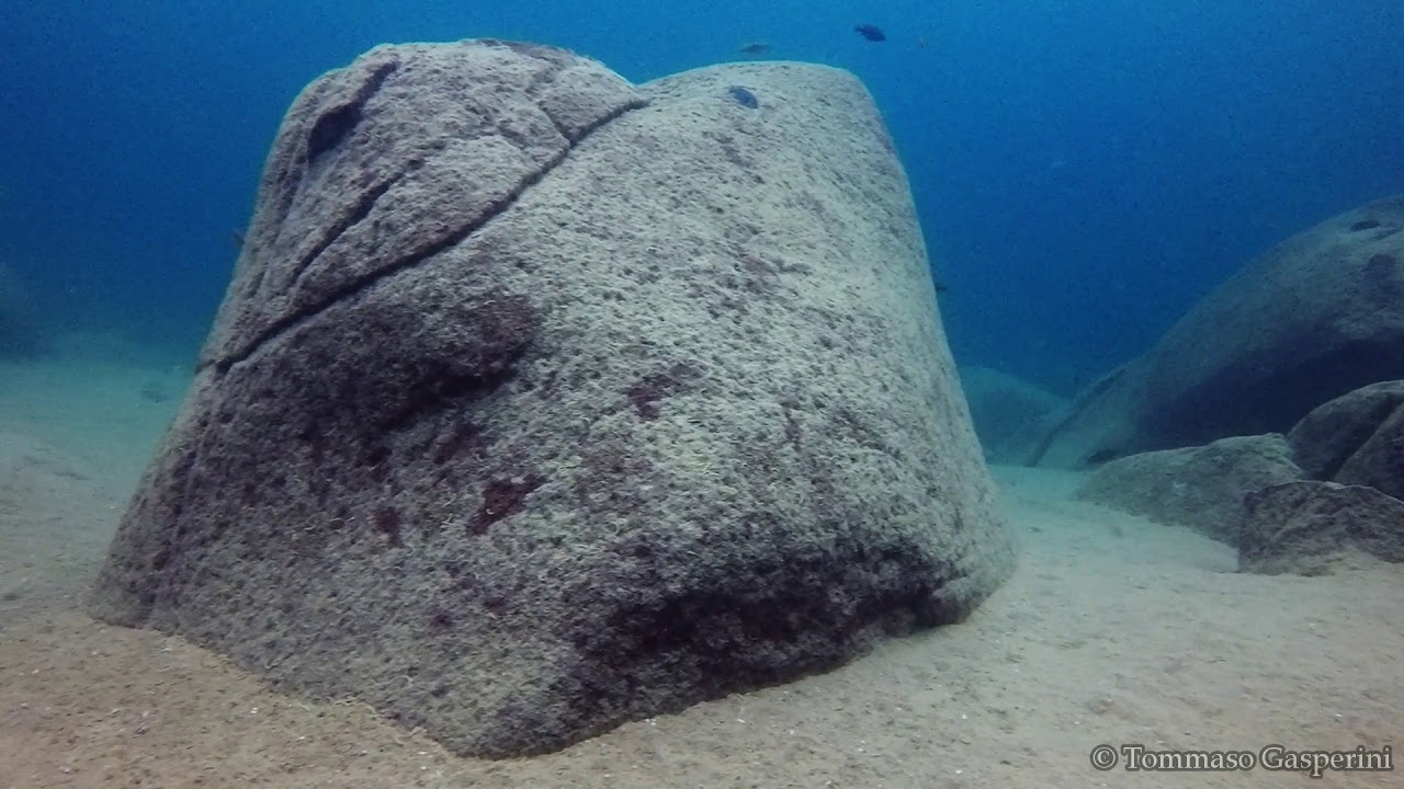 Lethrinops microstoma at Yofu Bay (Likoma)