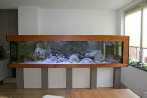 Tanganyika aquarium 350x115x90