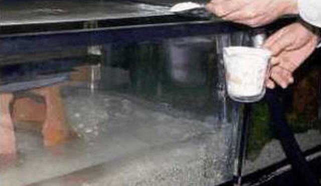 Anableps aquarium - seawater salt is added