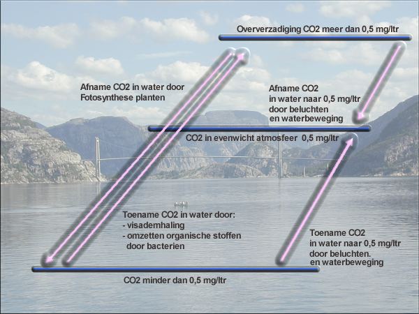 Factoren die bepalen hoeveel Co2 in water zit