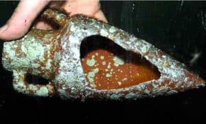 Aquarium ornament