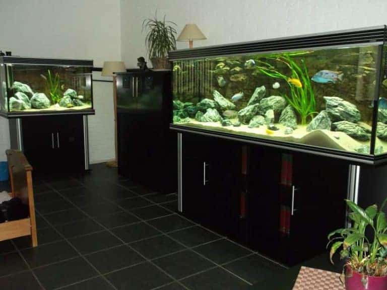 2000 Liter hout+vloeibaar Vijverfolie Zelfbouw Aquarium AquaInfo