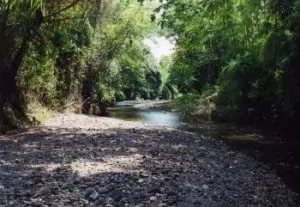 Rio Bernal