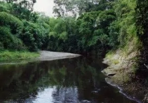 Rio Bernal