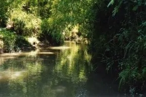 Rio Lobo Colombia biotoop