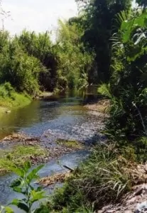 Rio Lobo omgeving