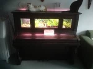Piano aquarium