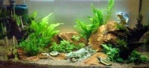Het resultaat nadat er water aan het aquarium is toegevoegd.