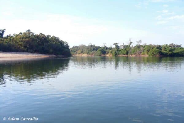 Rio Tocantins