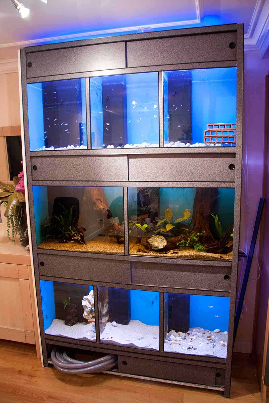 aquarium rack