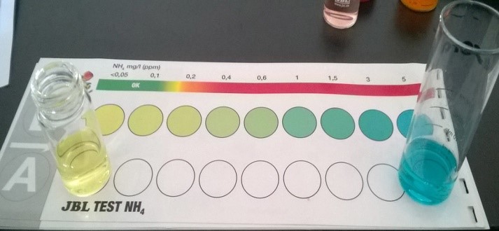 NH4 test
