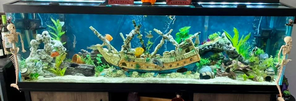6.6. Aquaponics filtratie