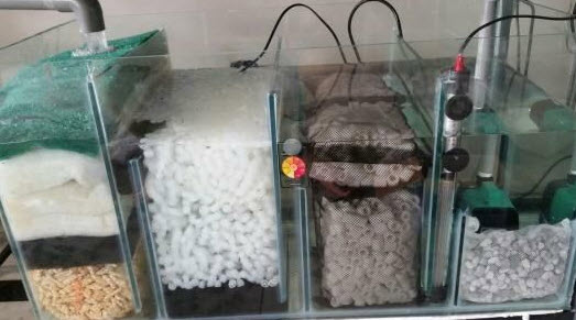Aquarium Filter Media Tests