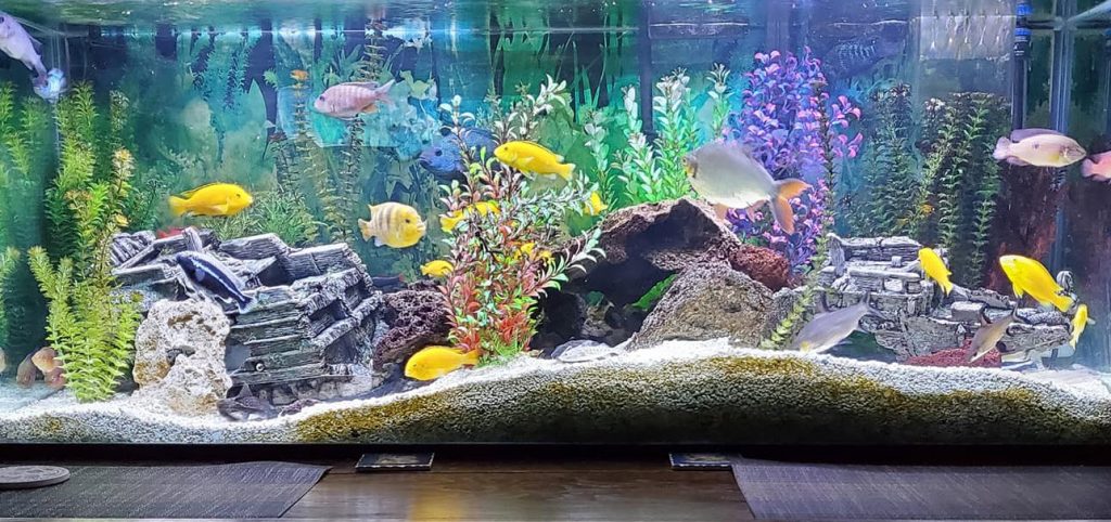 4.10. ORP of Redox in het aquarium
