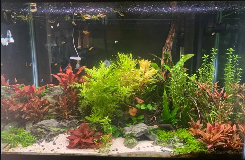 6.9. Kraanwater spoelen