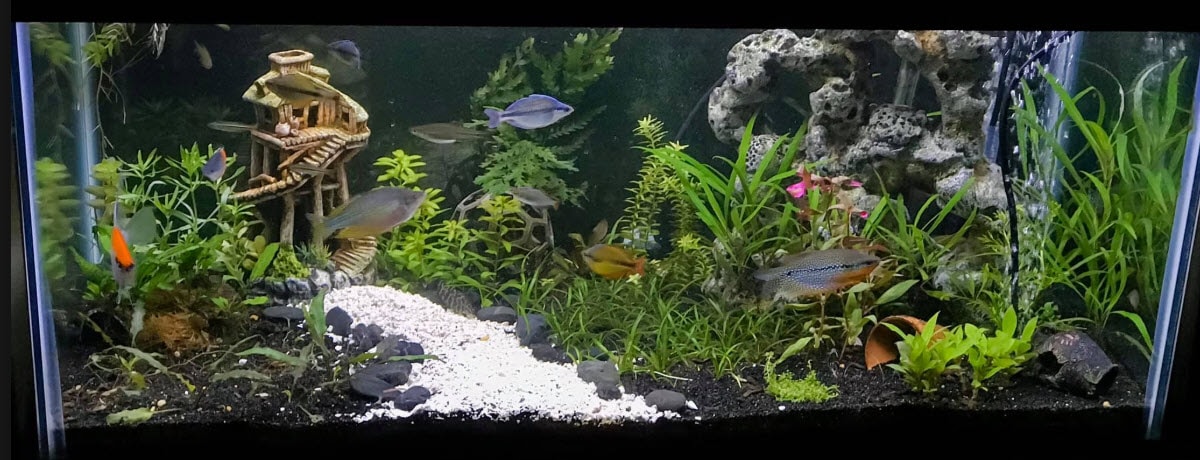 6.5. Waterstroomsnelheid in aquariumfilters