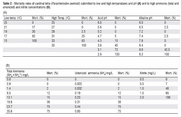 Ammonia toxicity in fish