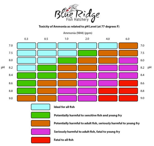 Chart of fish ammonia toxicity