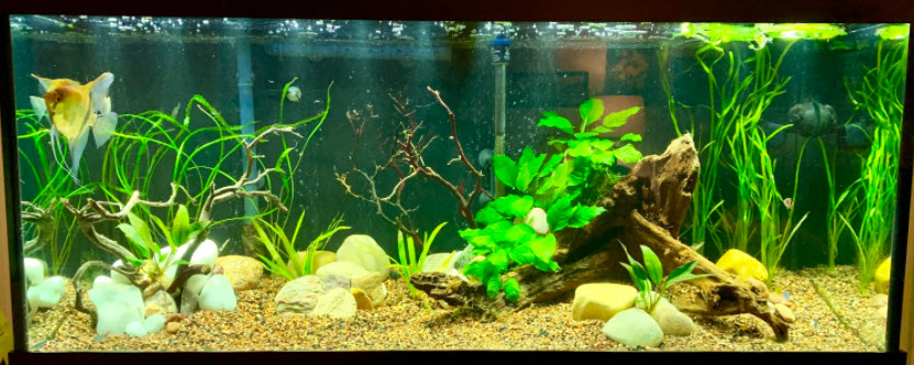 Skimmers and Spray Bars in the Aquarium