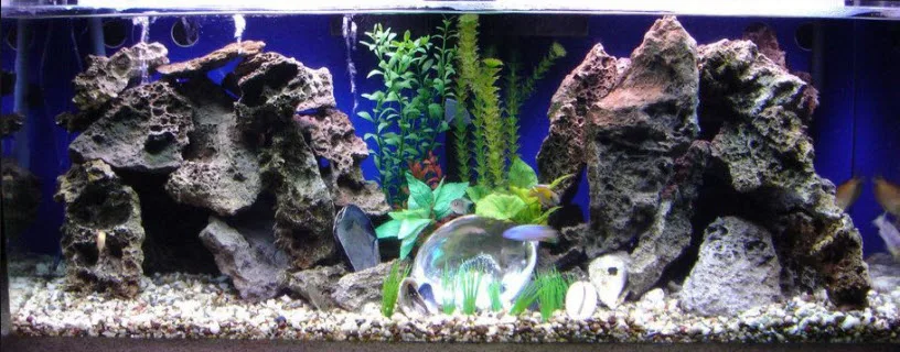 Large Rocks in an Aquarium