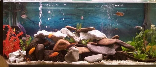 Rocks in an Aquarium