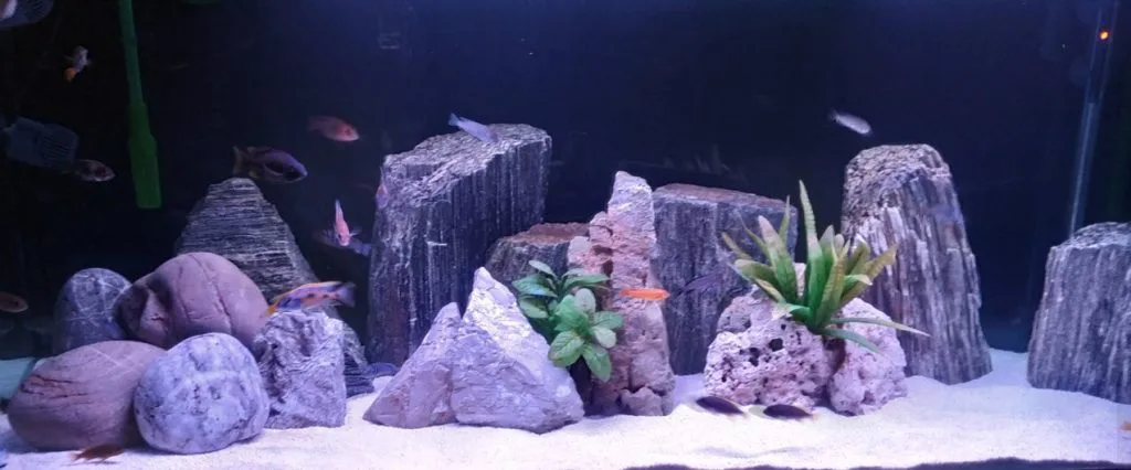 Rocks in an Aquarium