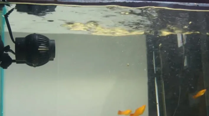 Wavemakers in the Aquarium